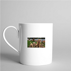 Tucker and Todd Merchandise For Fans Tucker And Todd Mugs