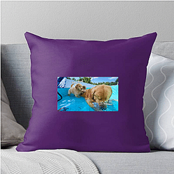 Tucker and Todd Merch Collection Tucker And Todd Pillows Cover