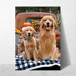 Tucker and Todd Merch For Fans Tucker And Todd Posters