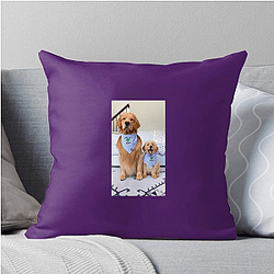 Tucker and Todd Merchandise Tucker And Todd Pillows Cover