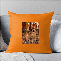 Tucker and Todd Special Collection Tucker And Todd Pillows Cover