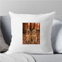 Tucker and Todd Special Collection Tucker And Todd Pillows Cover