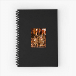 Tucker and Todd Special Collection Tucker And Todd Notebook