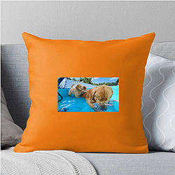 Tucker and Todd Merch Collection Tucker And Todd Pillows Cover