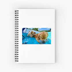 Tucker and Todd Merch Collection Tucker And Todd Notebook