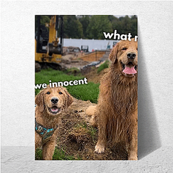 Tucker and Todd Merchandise For Fans Tucker And Todd Posters