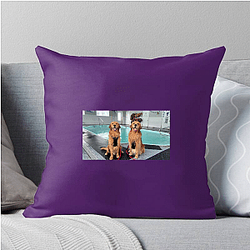 Tucker and Todd Limited Collection Tucker And Todd Pillows Cover