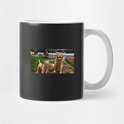 Tucker and Todd Merchandise For Fans Tucker And Todd Mugs