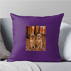 Tucker and Todd Special Collection Tucker And Todd Pillows Cover