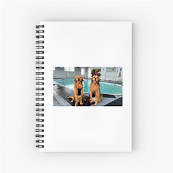 Tucker and Todd Limited Collection Tucker And Todd Notebook