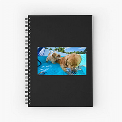 Tucker and Todd Merch Collection Tucker And Todd Notebook