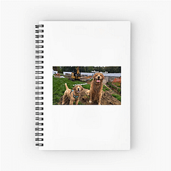 Tucker and Todd Merchandise For Fans Tucker And Todd Notebook