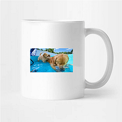 Tucker and Todd Merch Collection Tucker And Todd Mugs