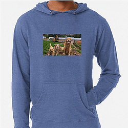 Tucker and Todd Merchandise For Fans Tucker And Todd Hoodies