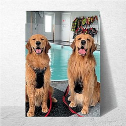 Tucker and Todd Limited Collection Tucker And Todd Posters