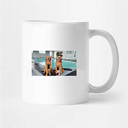 Tucker and Todd Limited Collection Tucker And Todd Mugs