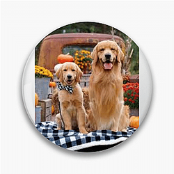 Tucker and Todd Merch For Fans Tucker And Todd Pins