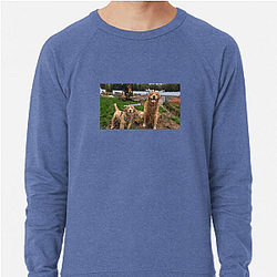 Tucker and Todd Merchandise For Fans Tucker And Todd Sweatshirts