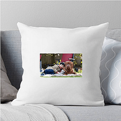 Turner and Hooch is a mix of comedy and drama Turner And Hooch Pillows Cover