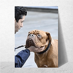 Turner and Hooch also has a TV series adaptation Turner And Hooch Posters