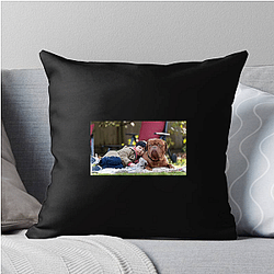 Turner and Hooch is a mix of comedy and drama Turner And Hooch Pillows Cover