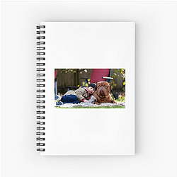 Turner and Hooch is a mix of comedy and drama Turner And Hooch Notebook