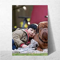 Turner and Hooch is a mix of comedy and drama Turner And Hooch Posters