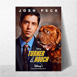 Turner and Hooch is a movie Turner And Hooch Posters