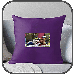 Turner And Hooch Pillows Cover