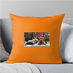 Turner and Hooch is a mix of comedy and drama Turner And Hooch Pillows Cover