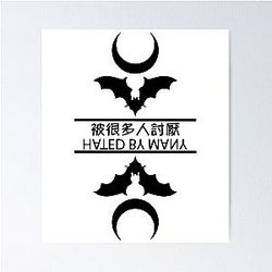 Twin Paranormal Hated By Many Black T Shirt Hoodie Poster