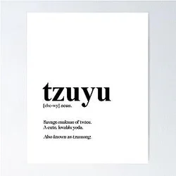 Twice Tzuyu Poster