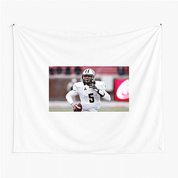 UCF Knights Merch For Fans Ucf Knights Tapestries