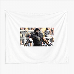 UCF Knights Limited Collection Ucf Knights Tapestries