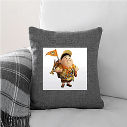 Up Special Collection Up Pillows Cover