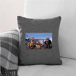 Up Merchandise For Fans Up Pillows Cover