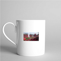 Utah Utes Special Collection Utah Utes Mugs