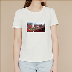 Utah Utes Special Collection Utah Utes T-Shirts