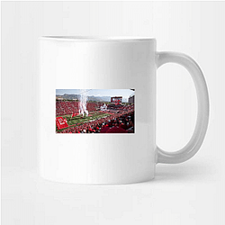 Utah Utes Special Collection Utah Utes Mugs