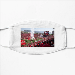 Utah Utes Special Collection Utah Utes Face Masks