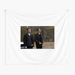Vampire Diaries premiered on The CW network in 2009 Vampire Diaries Tapestries
