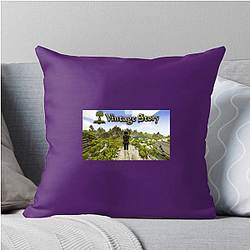 Vintage Story Signature Vintage Story Pillows Cover