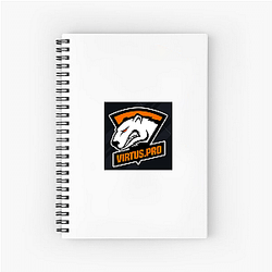 Virtus Pro is famous for the bear logo Virtus Pro Notebook