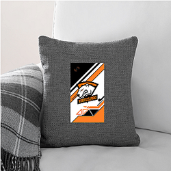 Virtus Pro was founded in 2003 Virtus Pro Pillows Cover