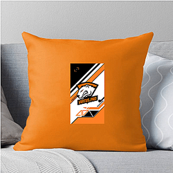 Virtus Pro was founded in 2003 Virtus Pro Pillows Cover