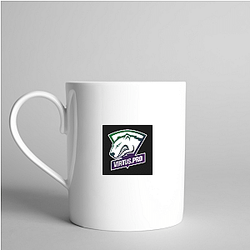 Virtus Pro excels in Dota 2 Virtus Pro Mugs