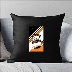 Virtus Pro was founded in 2003 Virtus Pro Pillows Cover