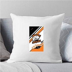 Virtus Pro was founded in 2003 Virtus Pro Pillows Cover