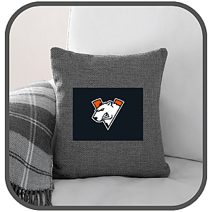 Virtus Pro Pillows Cover