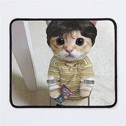 Walter White Cat Mouse Pad